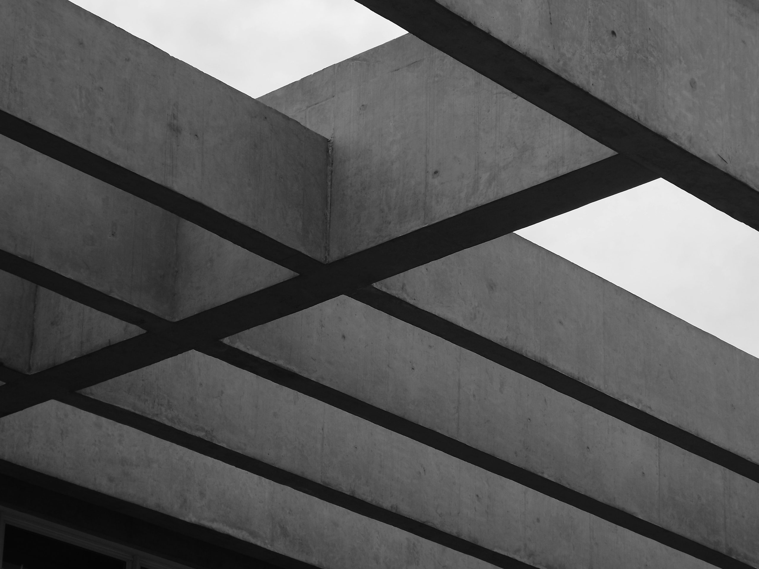 Home frederico machado zed9os01jq unsplash